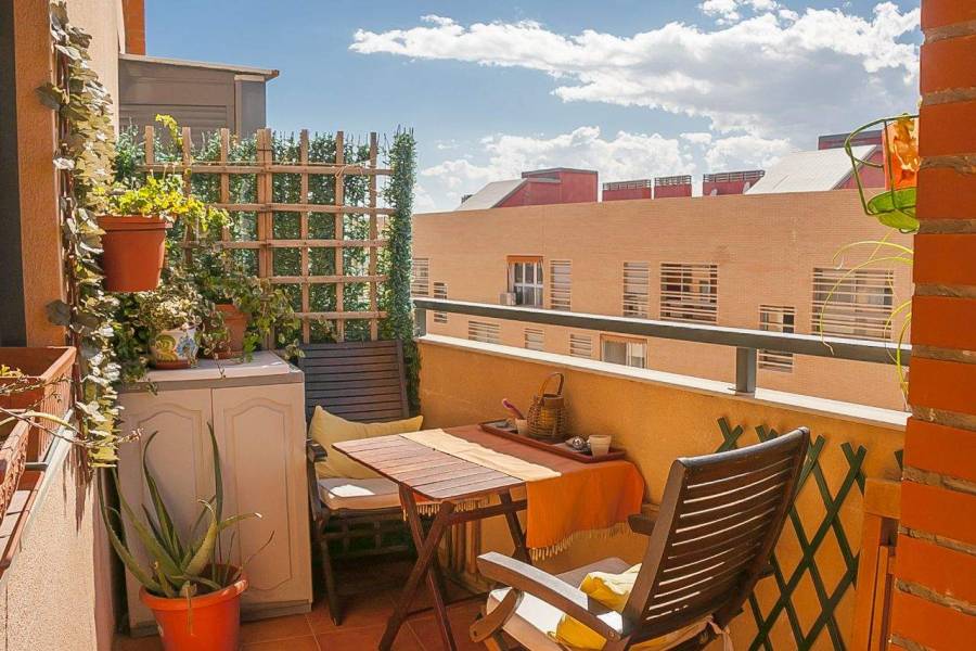 Alicante,Alicante,España,3 Bedrooms Bedrooms,3 BathroomsBathrooms,Dúplex,26688
