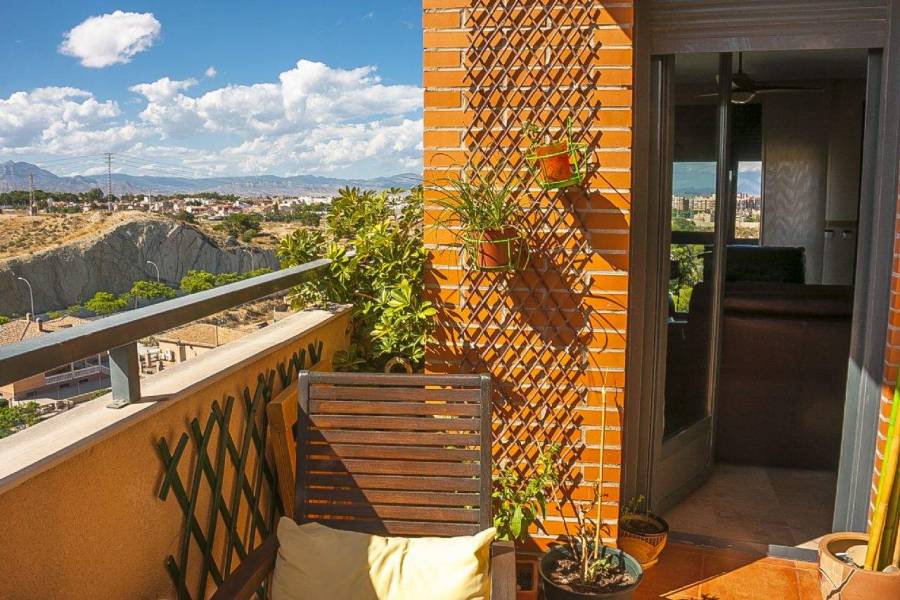 Alicante,Alicante,España,3 Bedrooms Bedrooms,3 BathroomsBathrooms,Dúplex,26688