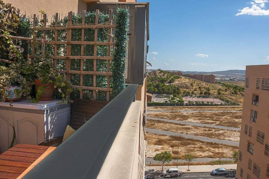 Alicante,Alicante,España,3 Bedrooms Bedrooms,3 BathroomsBathrooms,Dúplex,26688