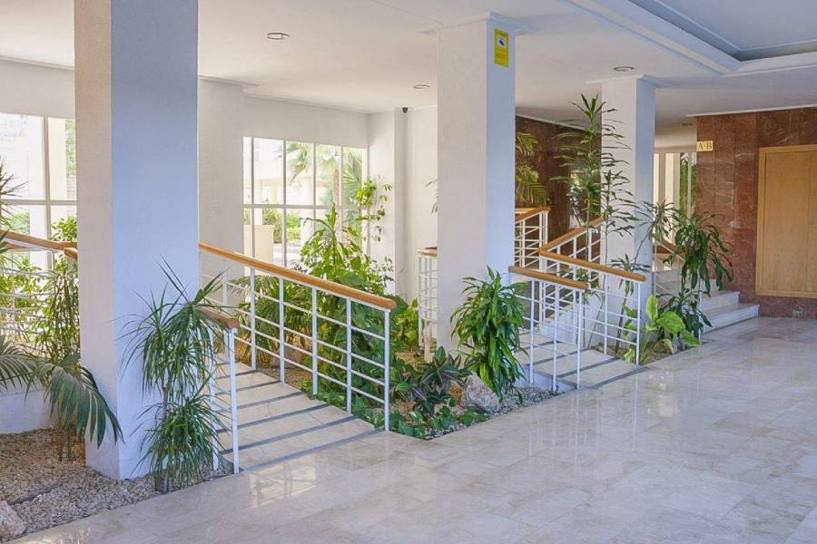 Alicante,Alicante,España,4 Bedrooms Bedrooms,2 BathroomsBathrooms,Apartamentos,26696