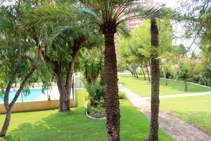 Benidorm,Alicante,España,1 Dormitorio Bedrooms,1 BañoBathrooms,Apartamentos,26723