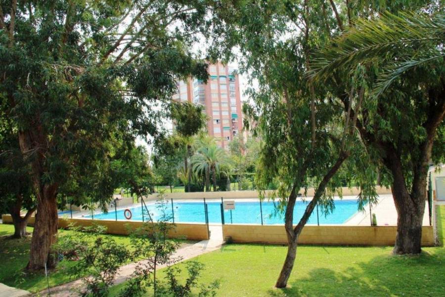 Benidorm,Alicante,España,1 Dormitorio Bedrooms,1 BañoBathrooms,Apartamentos,26723
