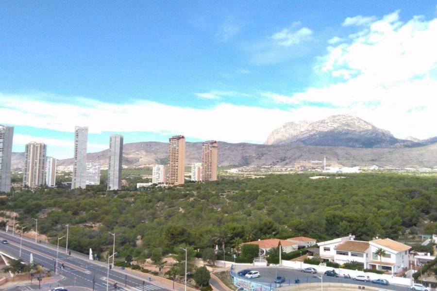 Benidorm,Alicante,España,1 Dormitorio Bedrooms,1 BañoBathrooms,Apartamentos,26723