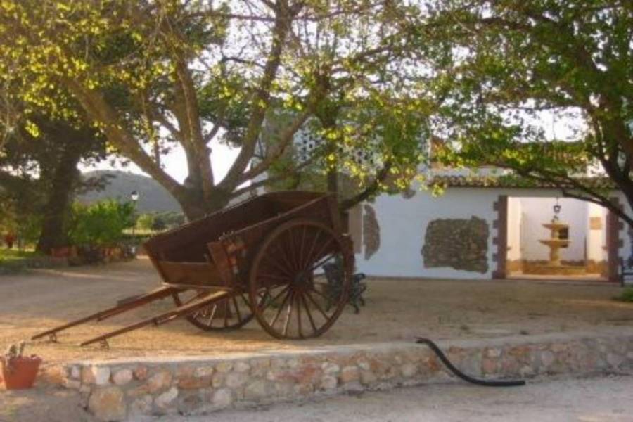 Bocairent,Alicante,España,19 Bedrooms Bedrooms,19 BathroomsBathrooms,Lotes-Terrenos,26859