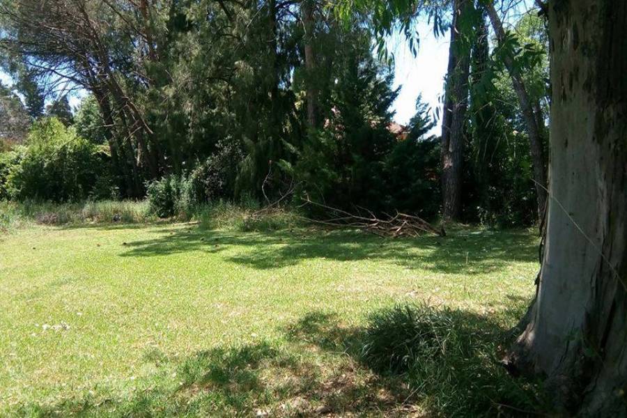 Centro Agricola El Pato,Buenos Aires,Lotes,624 entre colectora y 529,1243