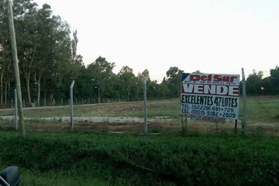 Centro Agricola El Pato,Buenos Aires,Lotes,544 entre 619 y 621,1245