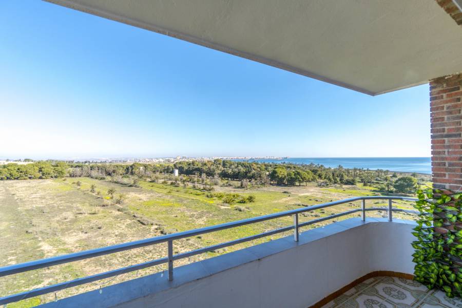 Torrevieja,Alicante,España,3 Bedrooms Bedrooms,1 BañoBathrooms,Apartamentos,28854