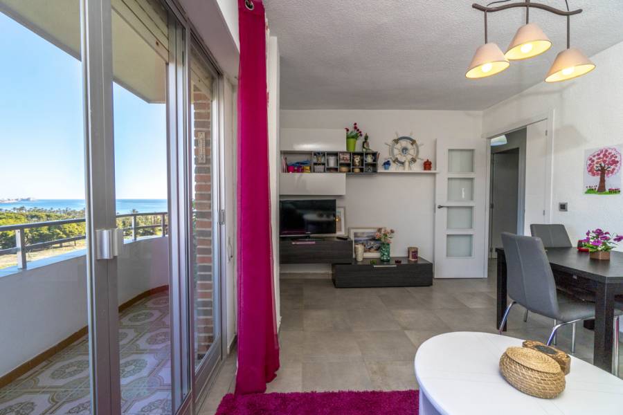 Torrevieja,Alicante,España,3 Bedrooms Bedrooms,1 BañoBathrooms,Apartamentos,28854