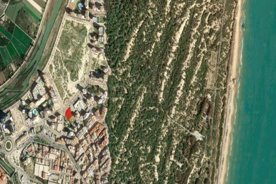 Guardamar del Segura,Alicante,España,2 Bedrooms Bedrooms,2 BathroomsBathrooms,Atico,28860