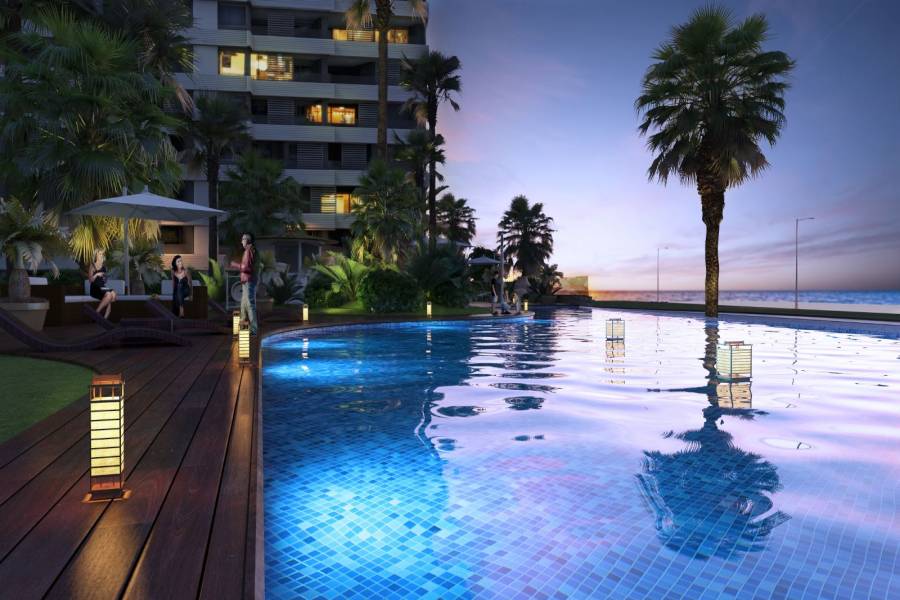 Torrevieja,Alicante,España,3 Bedrooms Bedrooms,2 BathroomsBathrooms,Apartamentos,29006