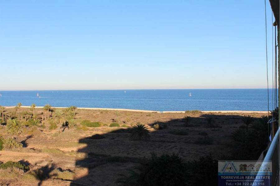 Torrevieja,Alicante,España,2 Bedrooms Bedrooms,1 BañoBathrooms,Apartamentos,29091