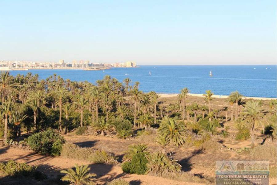 Torrevieja,Alicante,España,2 Bedrooms Bedrooms,1 BañoBathrooms,Apartamentos,29091