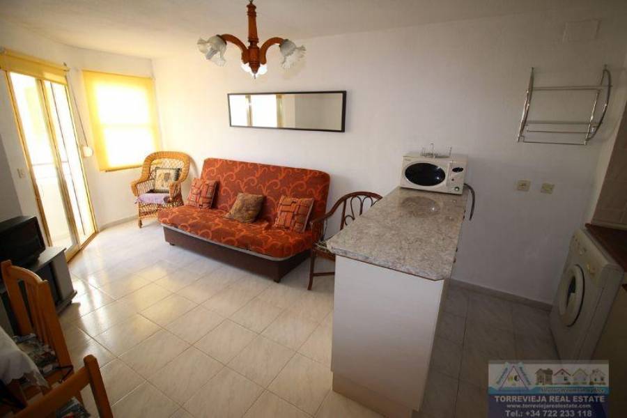 Torrevieja,Alicante,España,1 Dormitorio Bedrooms,1 BañoBathrooms,Apartamentos,29113