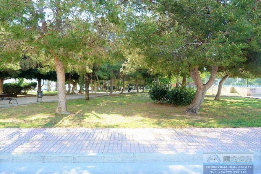 Torrevieja,Alicante,España,1 Dormitorio Bedrooms,1 BañoBathrooms,Apartamentos,29168