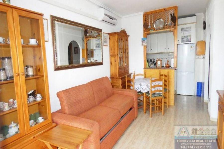 Torrevieja,Alicante,España,1 Dormitorio Bedrooms,1 BañoBathrooms,Apartamentos,29203