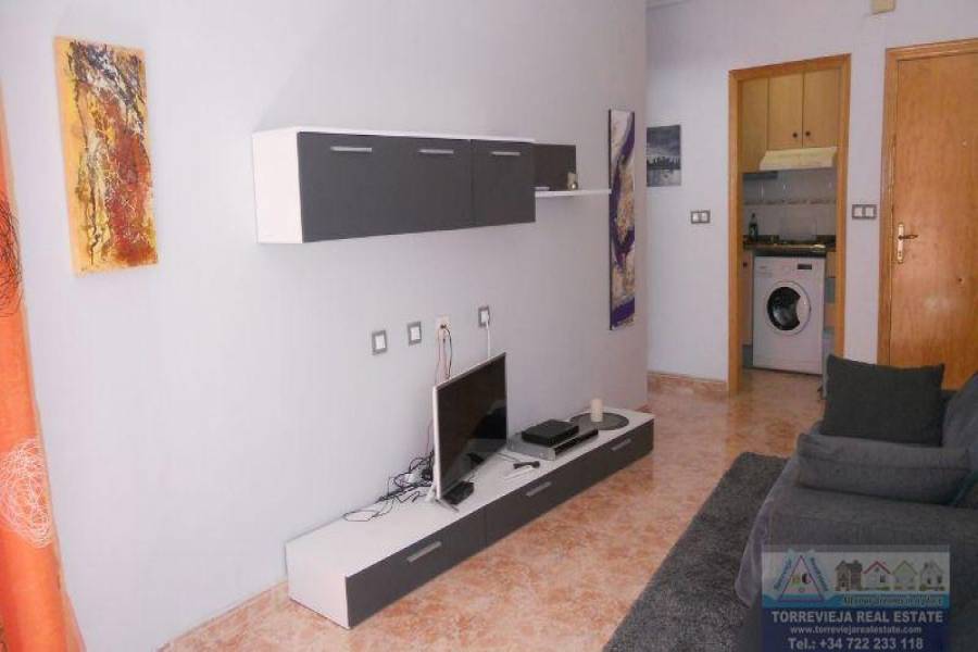 Torrevieja,Alicante,España,1 Dormitorio Bedrooms,1 BañoBathrooms,Atico,29204