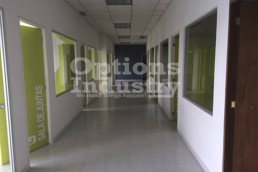 Toluca,Estado de Mexico,Mexico,5 BathroomsBathrooms,Bodegas,3621