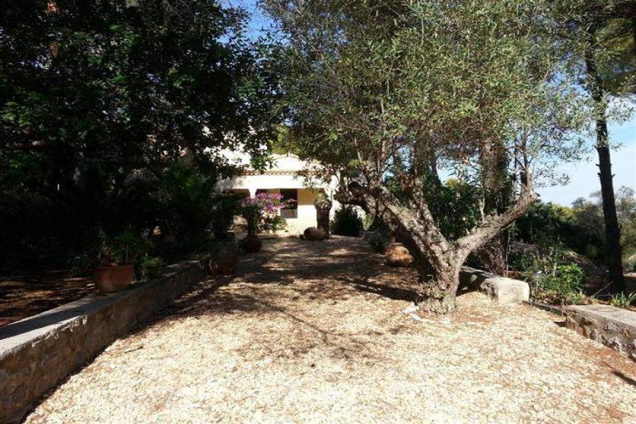 Pedreguer,Alicante,España,4 Bedrooms Bedrooms,4 BathroomsBathrooms,Chalets,29458