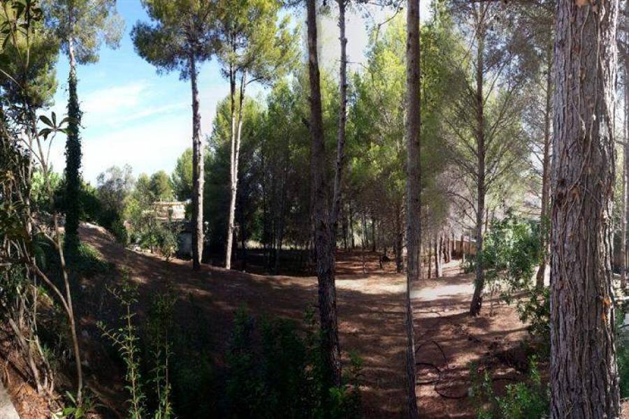 Pedreguer,Alicante,España,4 Bedrooms Bedrooms,4 BathroomsBathrooms,Chalets,29458