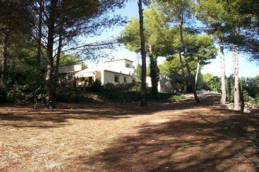 Pedreguer,Alicante,España,4 Bedrooms Bedrooms,4 BathroomsBathrooms,Chalets,29458