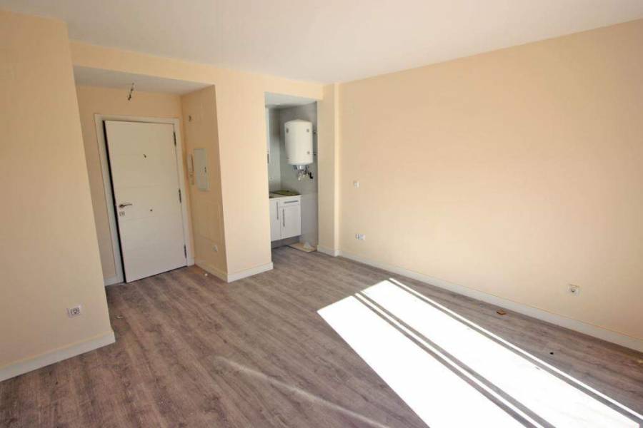 Pego,Alicante,España,1 Dormitorio Bedrooms,1 BañoBathrooms,Apartamentos,29778