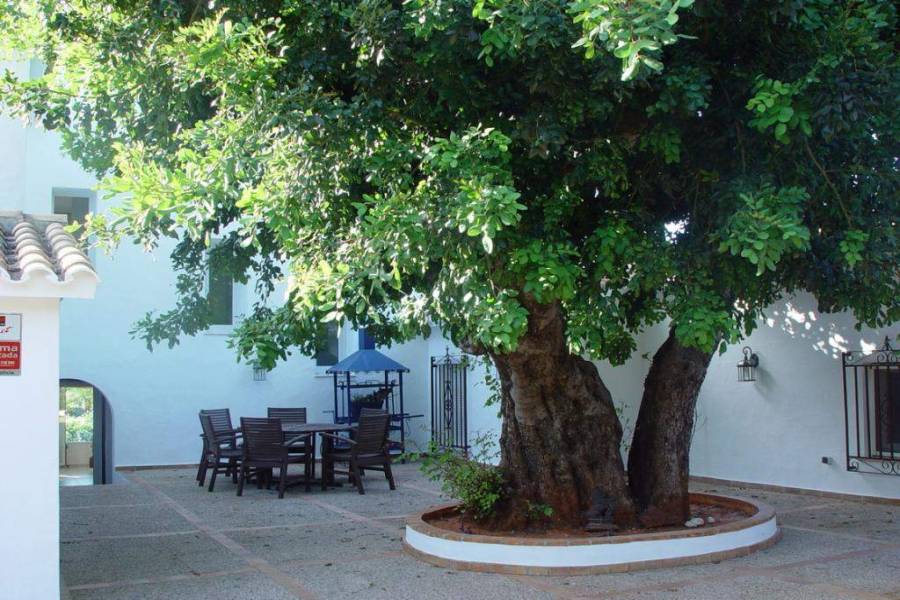 Dénia,Alicante,España,3 BathroomsBathrooms,Chalets,30126