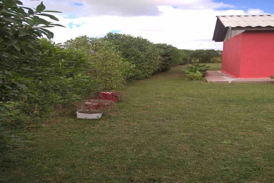 IMPERDIBLE! VEA MAS INFO...,1 Dormitorio Habitaciones,1 BañoBaños,Casas,815,1272