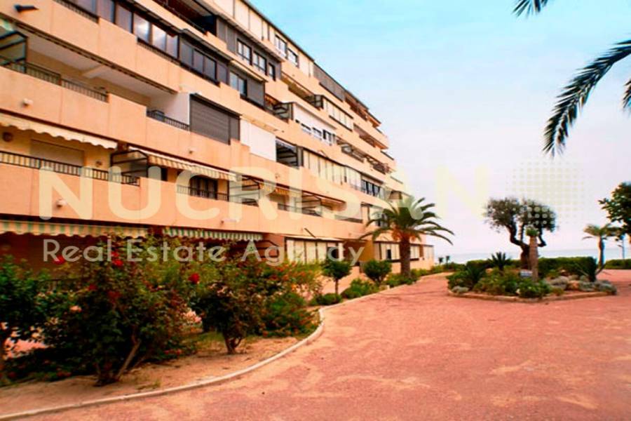 Torrevieja,Alicante,España,2 Bedrooms Bedrooms,1 BañoBathrooms,Apartamentos,30967