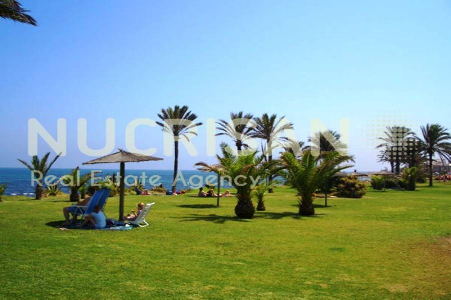 Torrevieja,Alicante,España,2 Bedrooms Bedrooms,2 BathroomsBathrooms,Apartamentos,30980