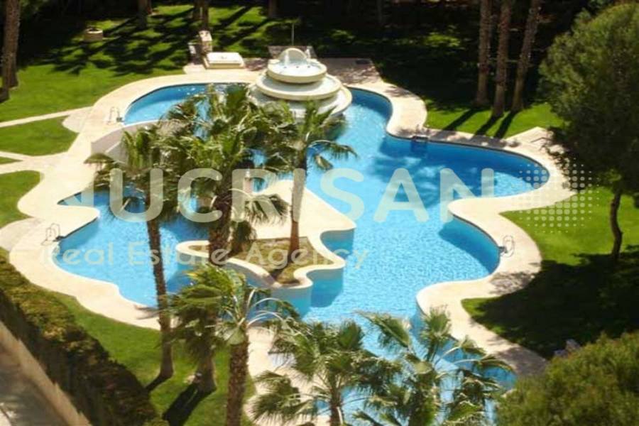 Orihuela,Alicante,España,2 Bedrooms Bedrooms,1 BañoBathrooms,Apartamentos,31020