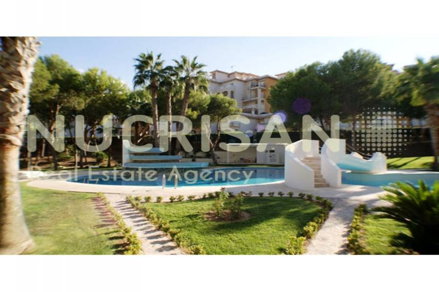 Orihuela,Alicante,España,2 Bedrooms Bedrooms,1 BañoBathrooms,Apartamentos,31020