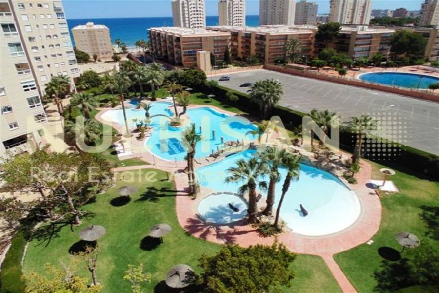 el Campello,Alicante,España,2 Bedrooms Bedrooms,2 BathroomsBathrooms,Apartamentos,31041