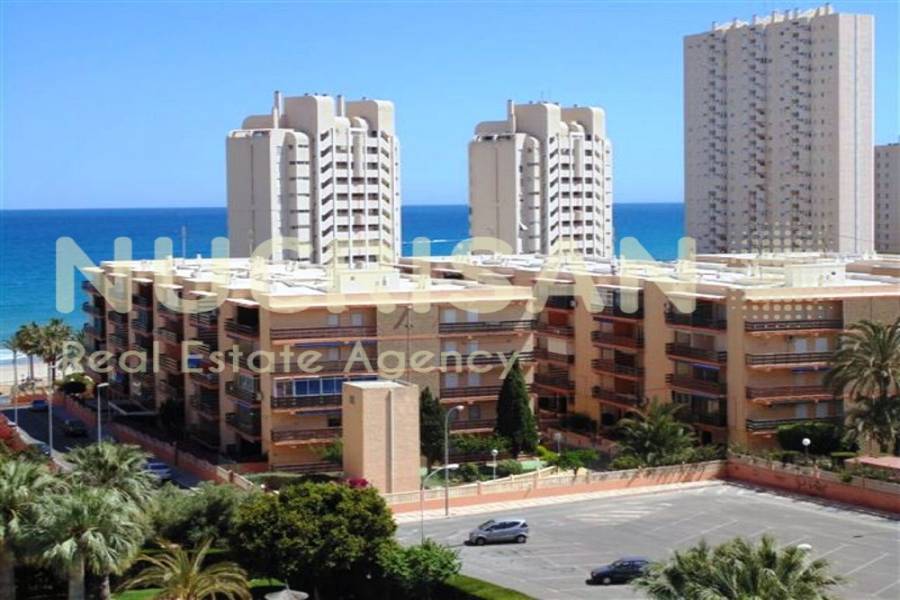 el Campello,Alicante,España,2 Bedrooms Bedrooms,2 BathroomsBathrooms,Apartamentos,31041