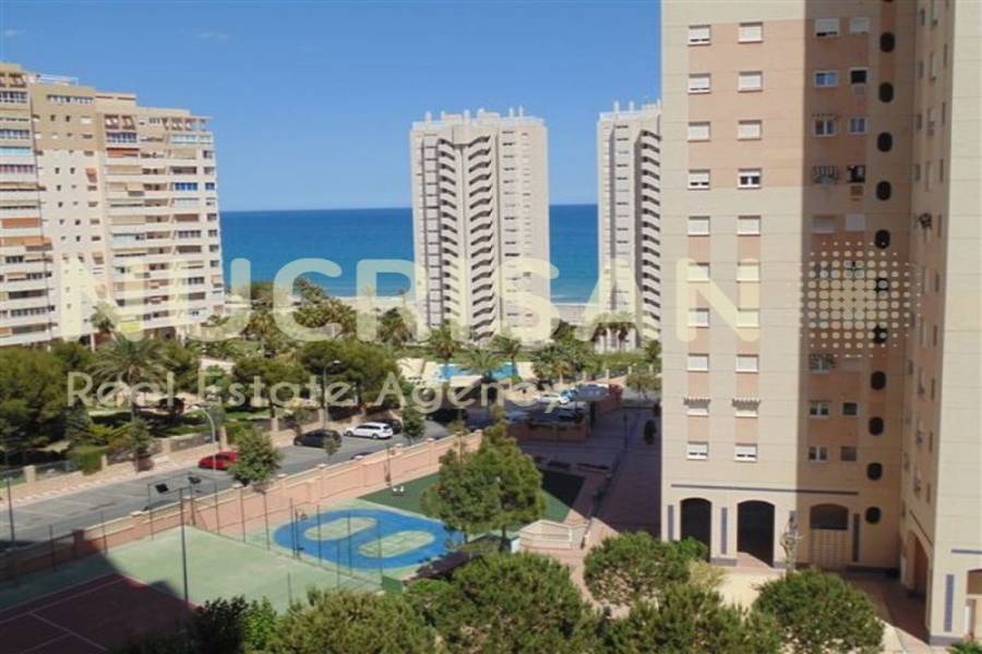 el Campello,Alicante,España,2 Bedrooms Bedrooms,2 BathroomsBathrooms,Apartamentos,31041