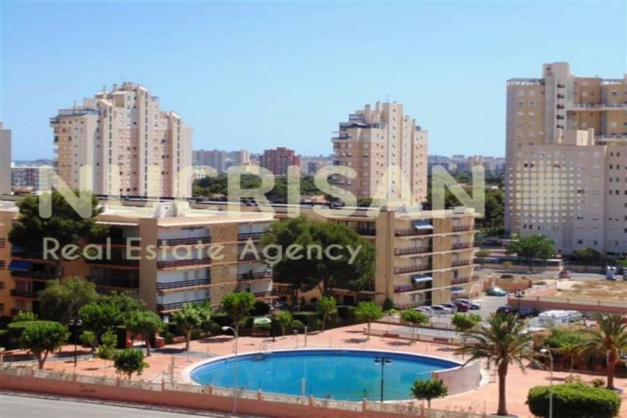 el Campello,Alicante,España,2 Bedrooms Bedrooms,2 BathroomsBathrooms,Apartamentos,31041