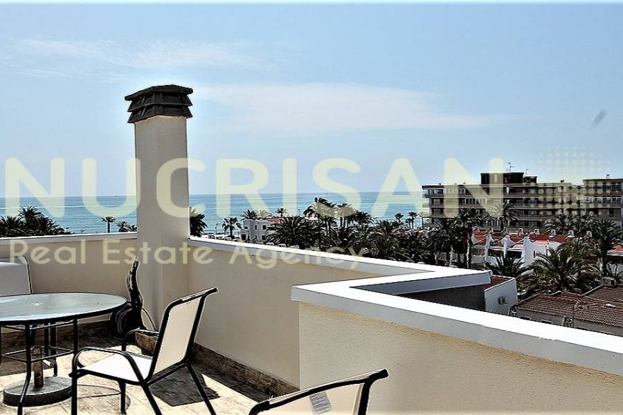 Torrevieja,Alicante,España,2 Bedrooms Bedrooms,1 BañoBathrooms,Atico,31210