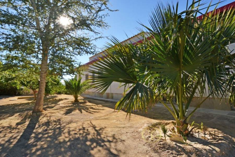 el Campello,Alicante,España,6 Bedrooms Bedrooms,6 BathroomsBathrooms,Chalets,31248