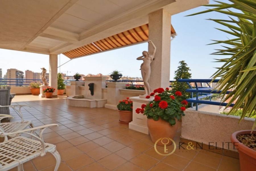 Alicante,Alicante,España,4 Bedrooms Bedrooms,3 BathroomsBathrooms,Atico,31270