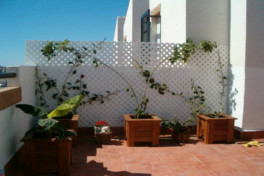 Torrevieja,Alicante,España,3 Bedrooms Bedrooms,2 BathroomsBathrooms,Dúplex,31869