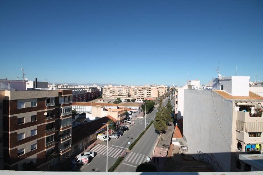 Torrevieja,Alicante,España,2 Bedrooms Bedrooms,1 BañoBathrooms,Apartamentos,31937