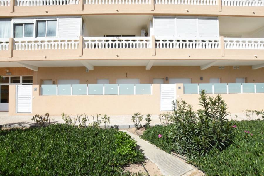 Torrevieja,Alicante,España,1 Dormitorio Bedrooms,1 BañoBathrooms,Apartamentos,31941
