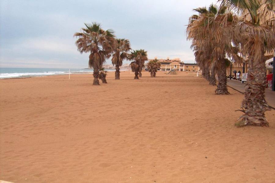 Torrevieja,Alicante,España,2 Bedrooms Bedrooms,1 BañoBathrooms,Apartamentos,31942