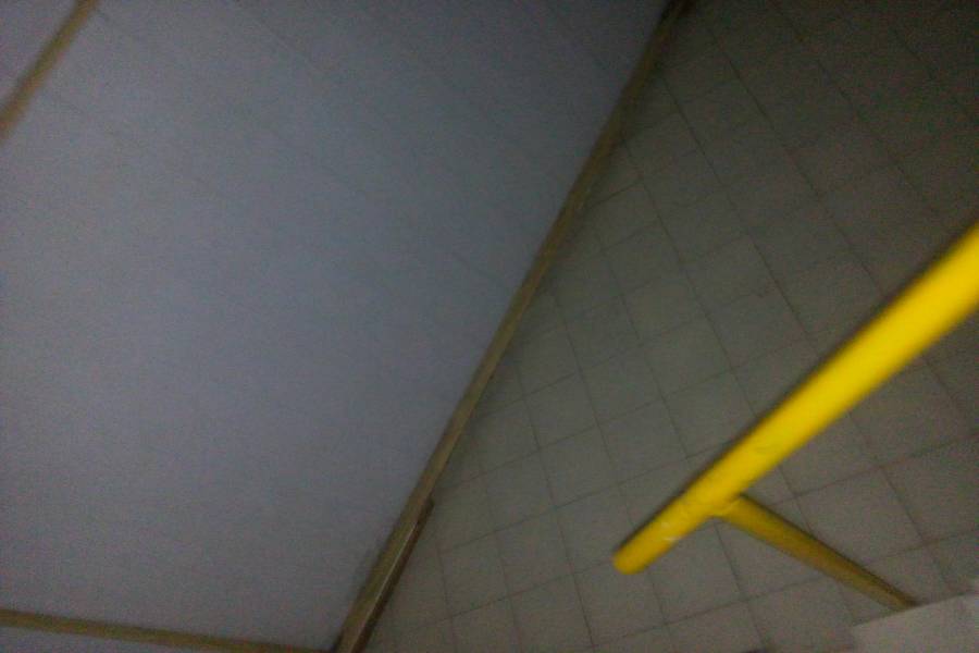 Mar del Plata,Buenos Aires,Locales,ARENALES,1283