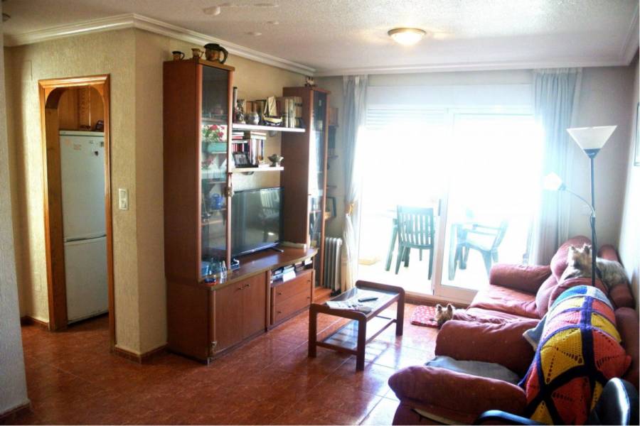 Torrevieja,Alicante,España,3 Bedrooms Bedrooms,2 BathroomsBathrooms,Atico,32058