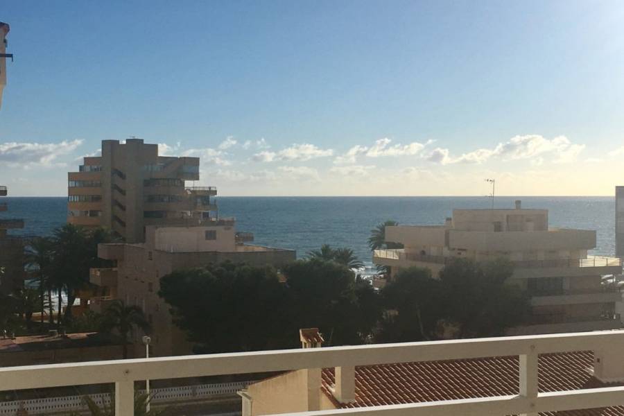 Arenales del sol,Alicante,España,3 Bedrooms Bedrooms,2 BathroomsBathrooms,Apartamentos,32075