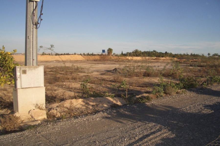 San Miguel de Salinas,Alicante,España,Lotes-Terrenos,32144