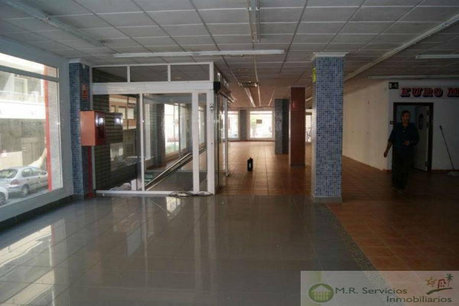 Torrevieja,Alicante,España,Locales,3697