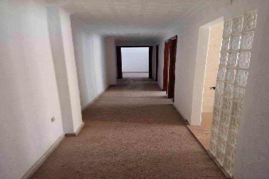 Almoradí,Alicante,España,3 Bedrooms Bedrooms,2 BathroomsBathrooms,Pisos,3699