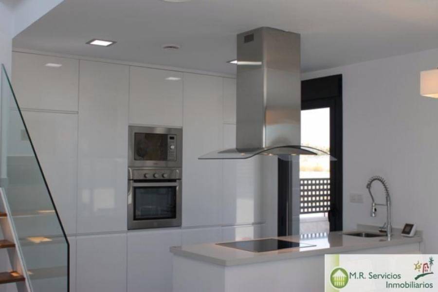 Benijófar,Alicante,España,3 Bedrooms Bedrooms,2 BathroomsBathrooms,Fincas-Villas,3702