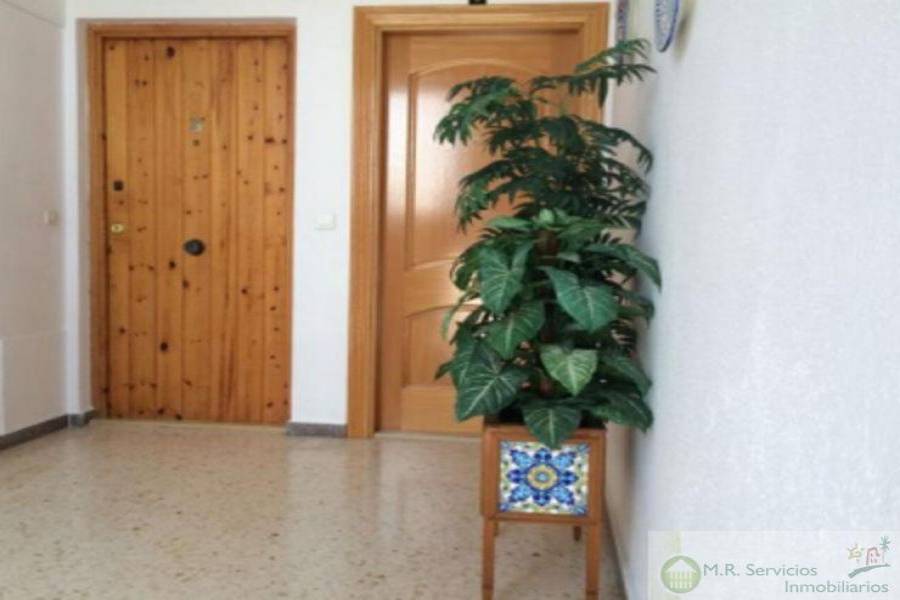 San Miguel de Salinas,Alicante,España,2 Bedrooms Bedrooms,1 BañoBathrooms,Pisos,3705